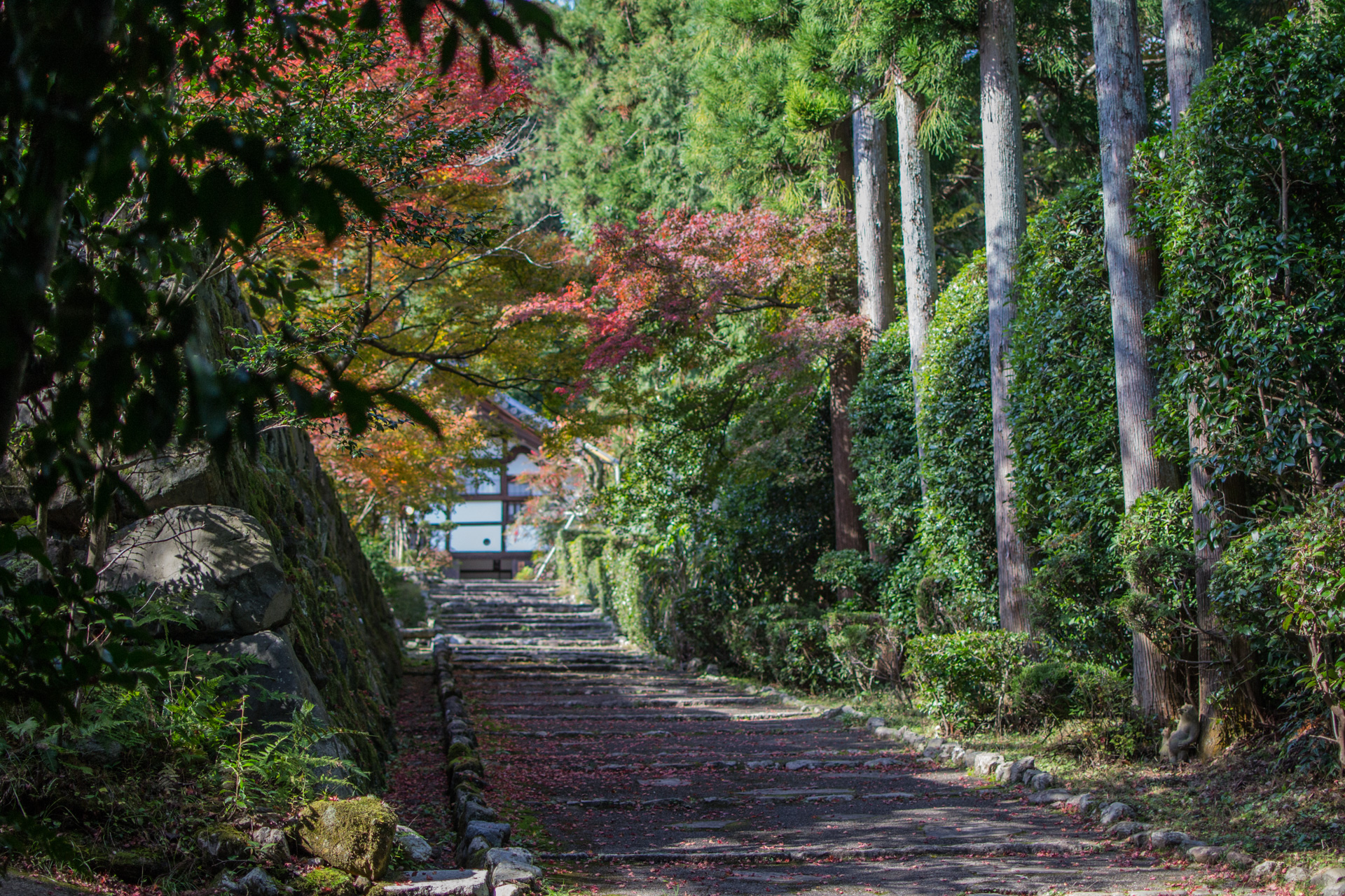 Chemin vers le temple Chemin vers le temple