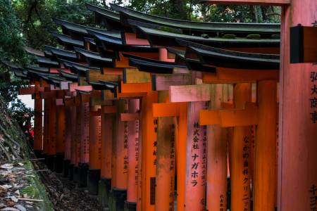 Les torii