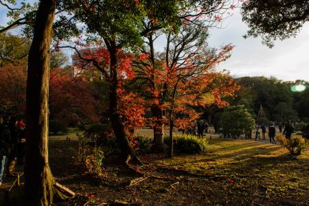 Rikugien Gardens